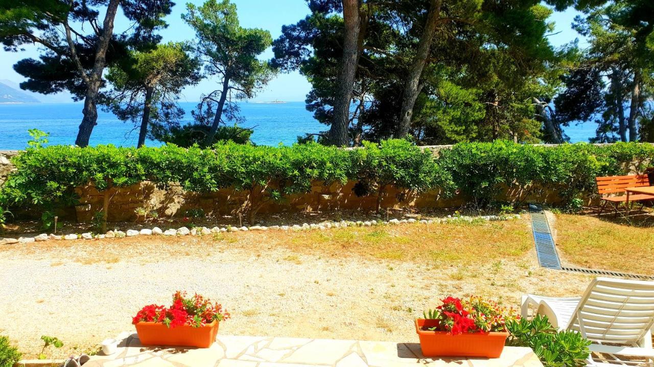 Beachfront Apartments Kate オレビック エクステリア 写真
